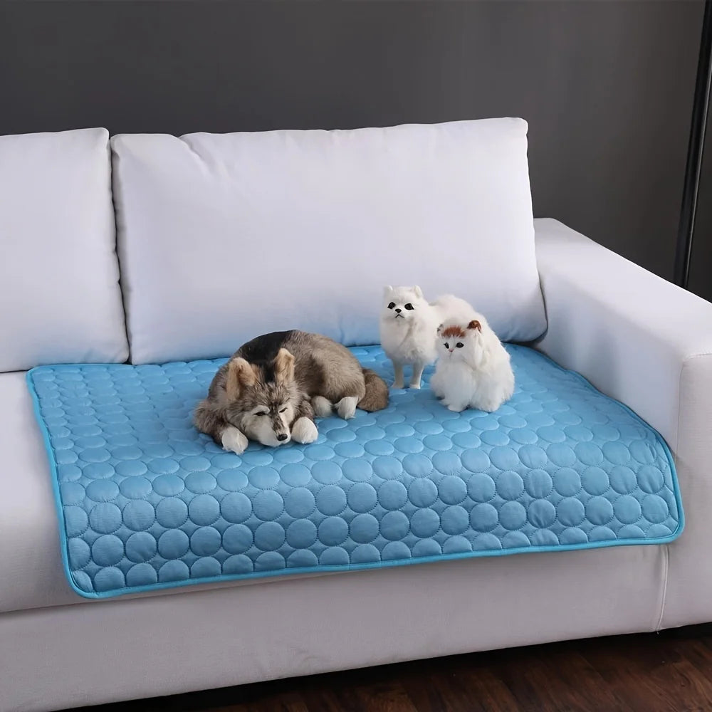 "Create Calm and Joyful Summers for Your Pets"